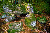 Valsesia, Campertogno, rozzo altare megalitico nei boschi dell'Argnaccia